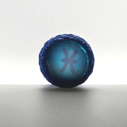 Pisces Zodiac Fidget