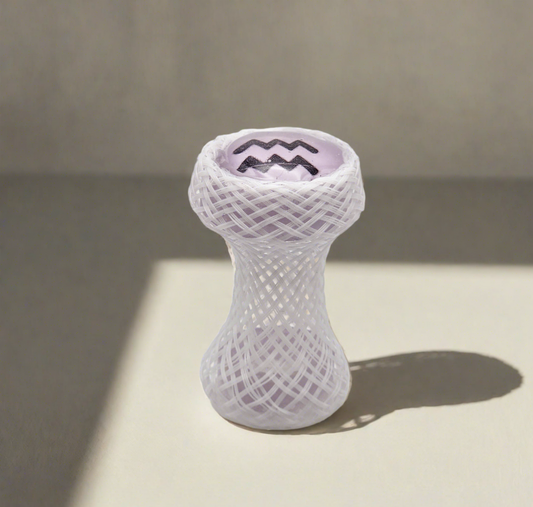 Aquarius Zodiac Fidget